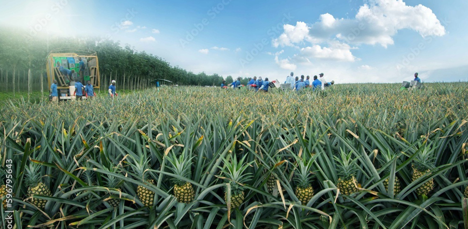 公司产品展示图